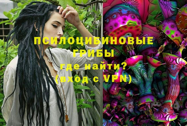 мяу мяу мука Бородино